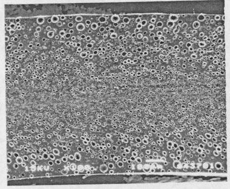 Gradient Phase Morphology formed in Polymer blends